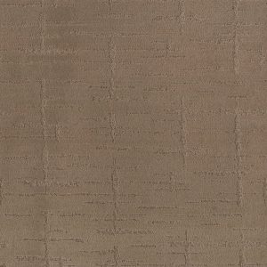 Anderson Tuftex Carpet RUSTIQUE VIBE - 00720 RAW WOOD