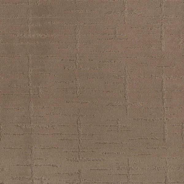 Anderson Tuftex Carpet RUSTIQUE VIBE - 00720 RAW WOOD