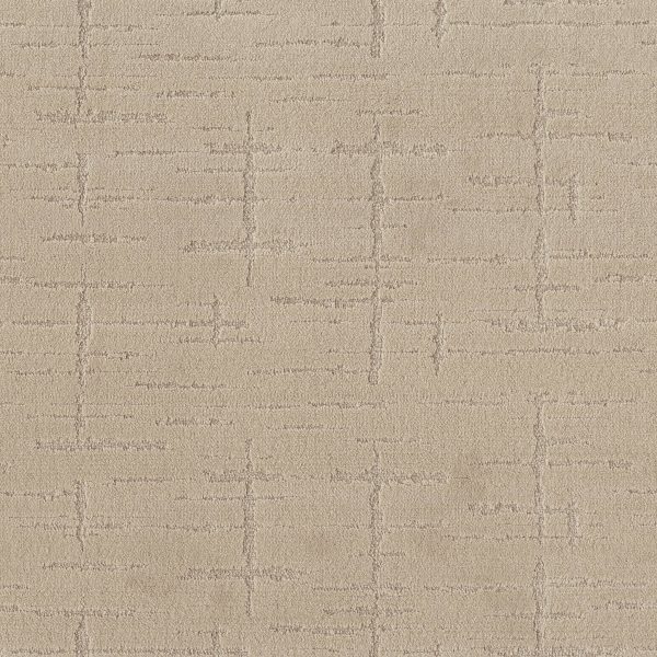 Anderson Tuftex Carpet RUSTIQUE VIBE - 00721 NATURAL BEAUTY