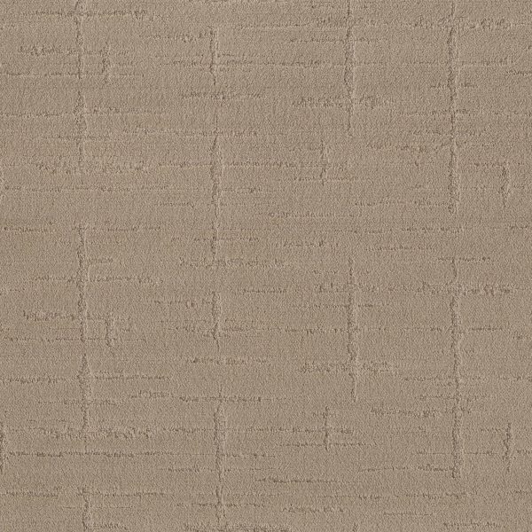Anderson Tuftex Carpet RUSTIQUE VIBE - 00749 TUMBLEWEED
