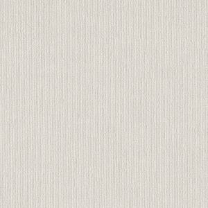Anderson Tuftex Carpet TRANQUIL WATERS - 00101 CALM