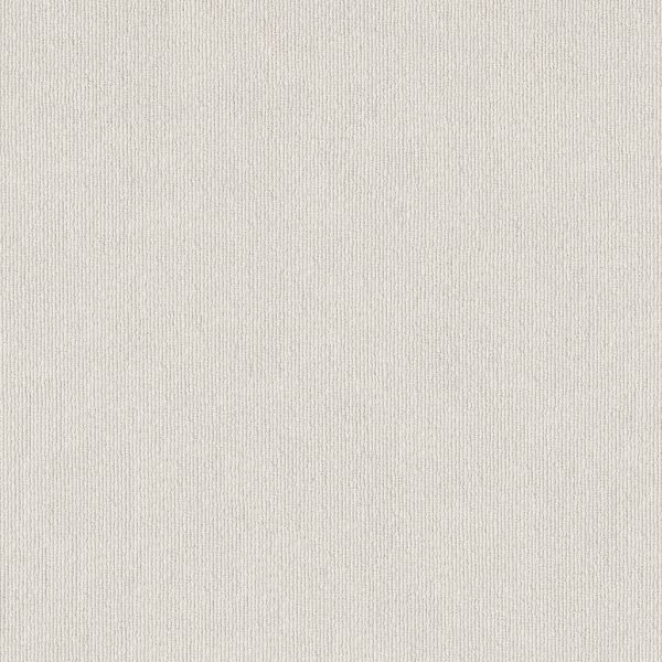 Anderson Tuftex Carpet TRANQUIL WATERS - 00101 CALM