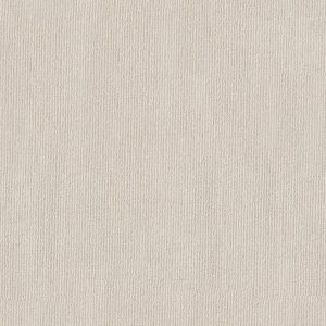 Anderson Tuftex Carpet TRANQUIL WATERS - 00104 AWAKEN