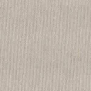 Anderson Tuftex Carpet TRANQUIL WATERS - 00107 SOFT SPOKEN
