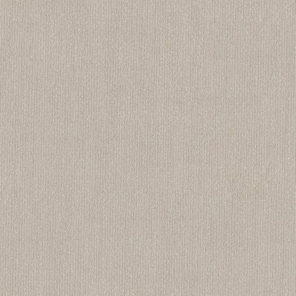 Anderson Tuftex Carpet TRANQUIL WATERS - 00107 SOFT SPOKEN