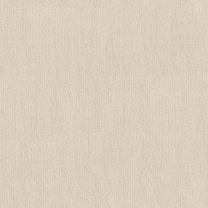 Anderson Tuftex Carpet TRANQUIL WATERS - 00130 VANILLA