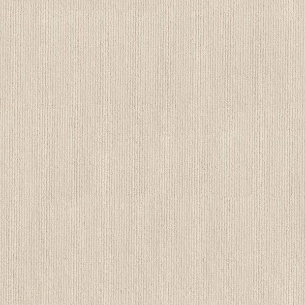 Anderson Tuftex Carpet TRANQUIL WATERS - 00130 VANILLA