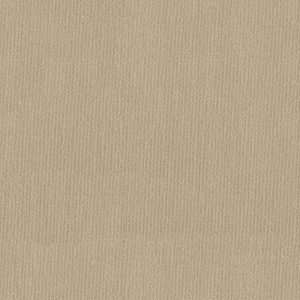 Anderson Tuftex Carpet TRANQUIL WATERS - 00133 SAHARA