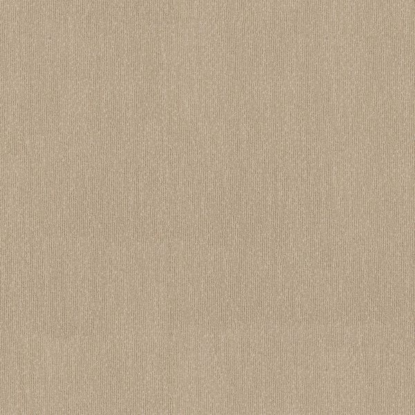 Anderson Tuftex Carpet TRANQUIL WATERS - 00133 SAHARA