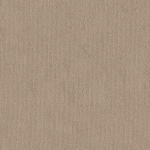 Anderson Tuftex Carpet TRANQUIL WATERS - 00135 COBBLE STONE