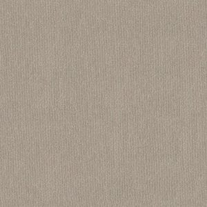 Anderson Tuftex Carpet TRANQUIL WATERS - 00150 BUFF