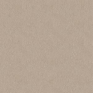 Anderson Tuftex Carpet TRANQUIL WATERS - 00151 FOSSIL