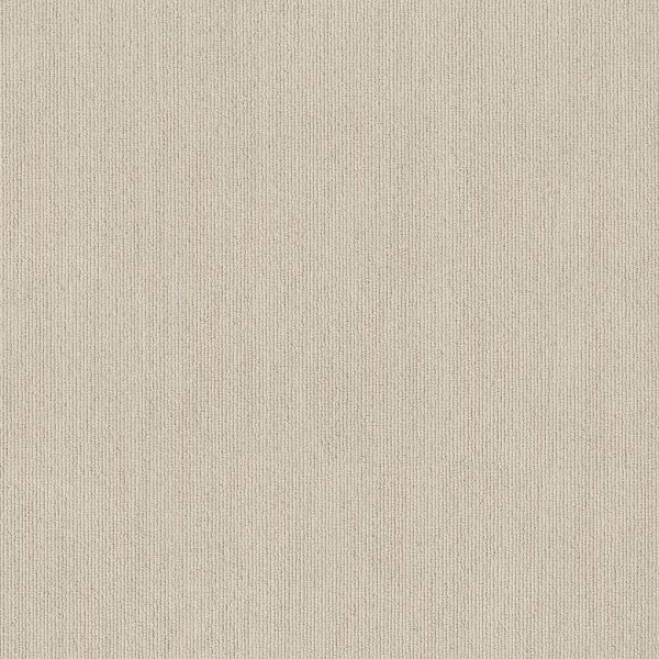 Anderson Tuftex Carpet TRANQUIL WATERS - 00172 CAMISOLE