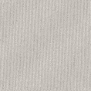 Anderson Tuftex Carpet TRANQUIL WATERS - 00500 GLACIER ICE