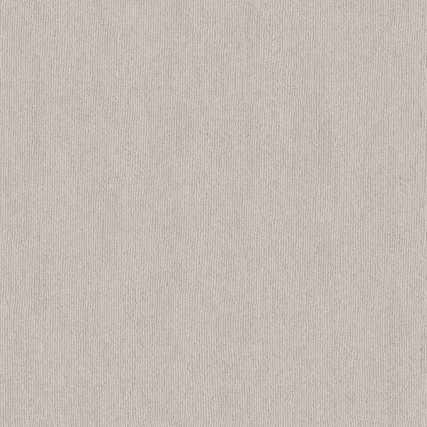 Anderson Tuftex Carpet TRANQUIL WATERS - 00501 MEDITATIVE