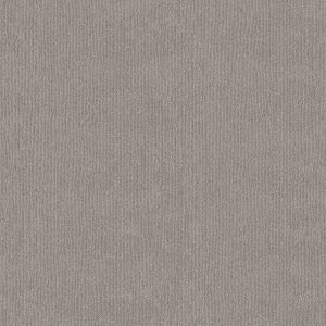 Anderson Tuftex Carpet TRANQUIL WATERS - 00502 SHADOW