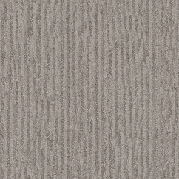 Anderson Tuftex Carpet TRANQUIL WATERS - 00502 SHADOW