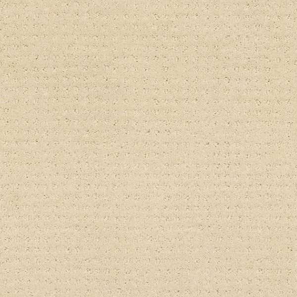 Shaw Floors Retail WESTMINSTER - 00100 AIRY WHITE