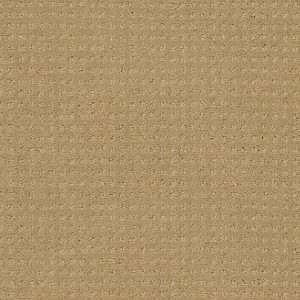 Shaw Floors Retail WESTMINSTER - 00701 FIELD STONE