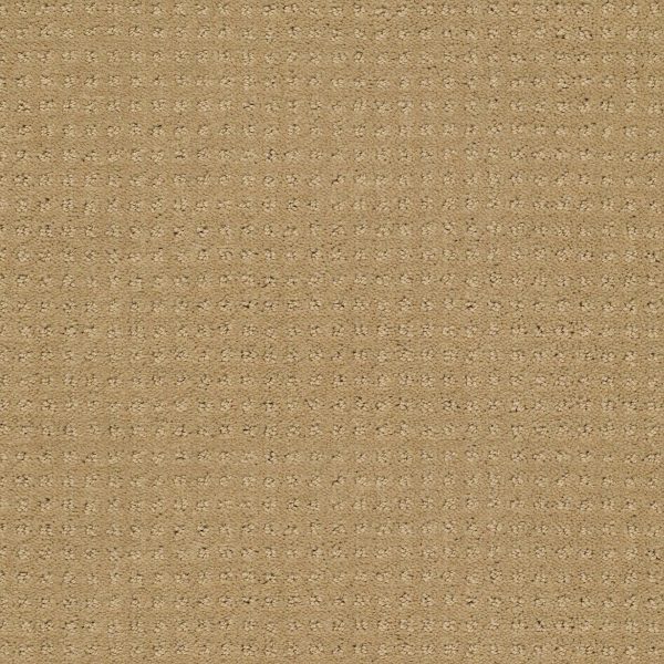 Shaw Floors Retail WESTMINSTER - 00701 FIELD STONE