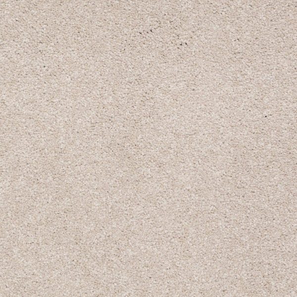 Shaw Floors Retail MAGIC AT LAST II 12 - 00104 QUARTZ