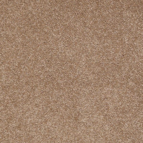 Shaw Floors Retail MAGIC AT LAST IV 12 - 00301 WHEAT GRASS