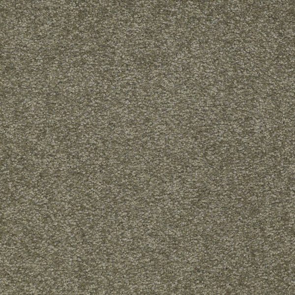 Shaw Floors Retail MAGIC AT LAST IV 12 - 00305 GARDEN SPOT