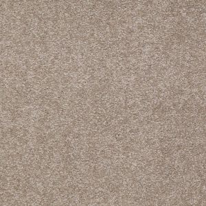Shaw Floors Retail MAGIC AT LAST IV 12 - 00306 LEAPFROG