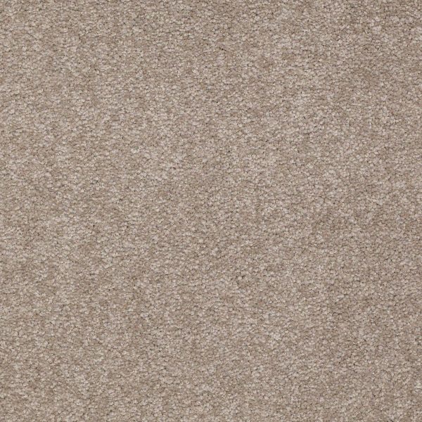 Shaw Floors Retail MAGIC AT LAST IV 12 - 00306 LEAPFROG