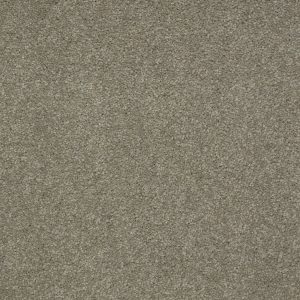 Shaw Floors Retail MAGIC AT LAST IV 12 - 00501 GUNMETAL