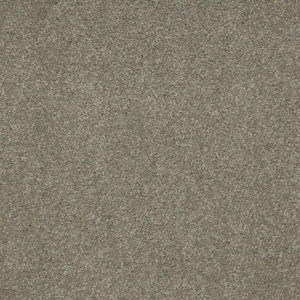 Shaw Floors Retail MAGIC AT LAST IV 12 - 00501 GUNMETAL