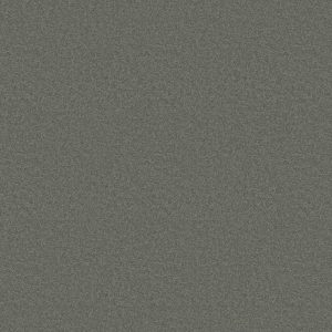 Shaw Floors Retail MAGIC AT LAST IV 12 - 00502 ALUMINUM