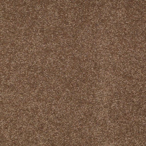 Shaw Floors Retail MAGIC AT LAST IV 12 - 00703 TREE MOSS