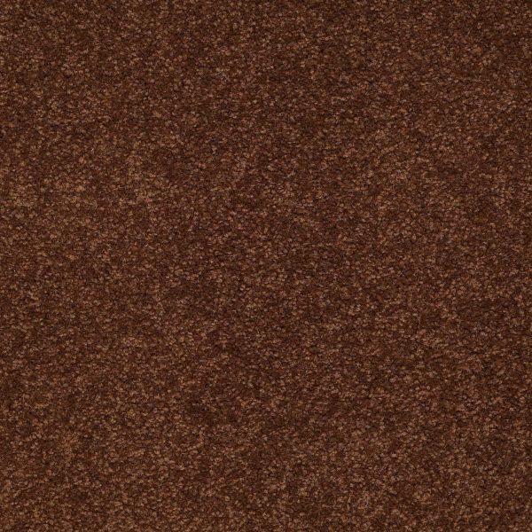 Shaw Floors Retail MAGIC AT LAST IV 12 - 00707 COCOA