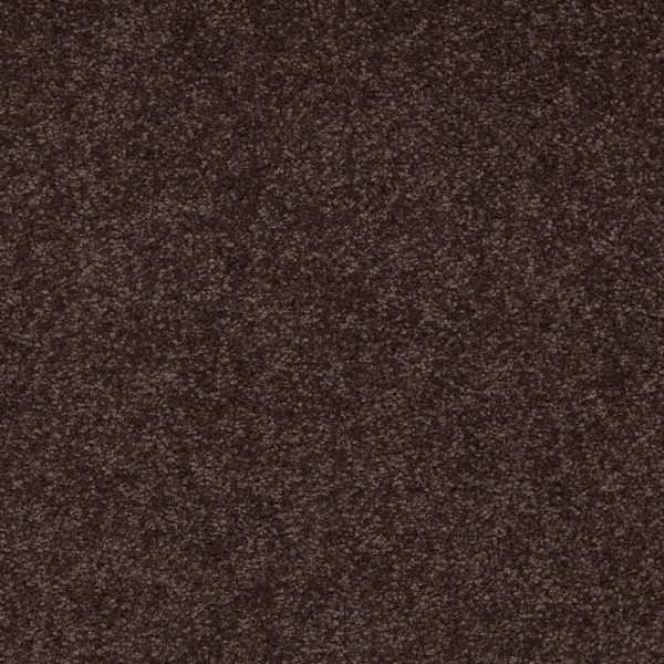Shaw Floors Retail MAGIC AT LAST IV 12 - 00708 DARK CHOCOLATE