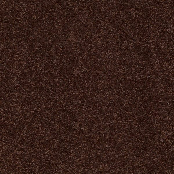 Shaw Floors Retail MAGIC AT LAST IV 12 - 00711 FUDGE BROWNIE