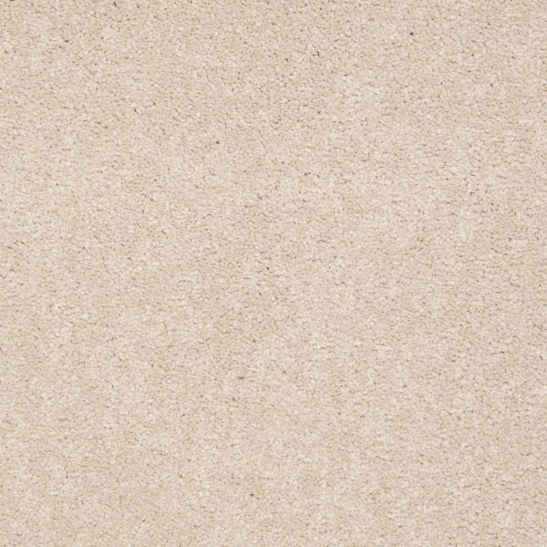 Shaw Floors Retail MAGIC AT LAST II 15' - 00106 CAMEO