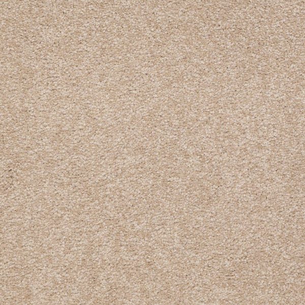 Shaw Floors Retail MAGIC AT LAST II 15' - 00108 SHELL