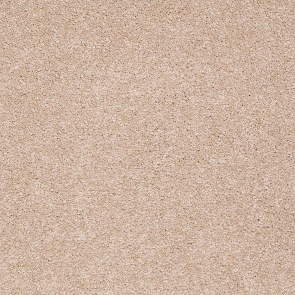 Shaw Floors Retail MAGIC AT LAST II 15' - 00110 ANTIQUE WHITE