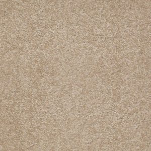 Shaw Floors Retail MAGIC AT LAST II 15' - 00205 CARDBOARD