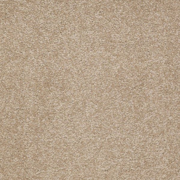 Shaw Floors Retail MAGIC AT LAST II 15' - 00205 CARDBOARD