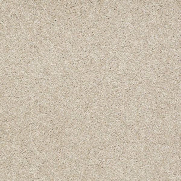 Shaw Floors Retail MAGIC AT LAST II 15' - 00307 HONEYDEW