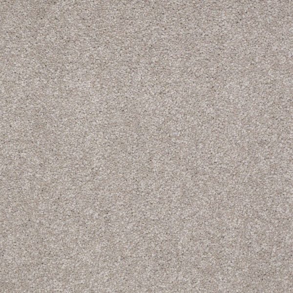 Shaw Floors Retail MAGIC AT LAST II 15' - 00501 GUNMETAL