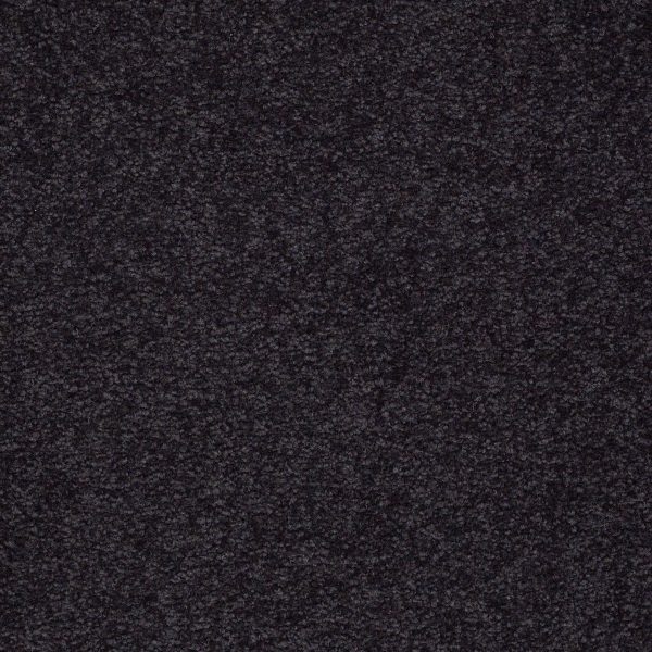 Shaw Floors Retail MAGIC AT LAST II 15' - 00503 MIDNIGHT