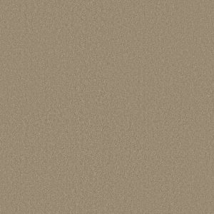 Shaw Floors Retail MAGIC AT LAST IV 15' - 00105 BALANCED BEIGE