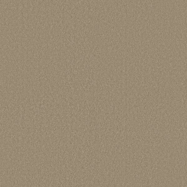 Shaw Floors Retail MAGIC AT LAST IV 15' - 00105 BALANCED BEIGE