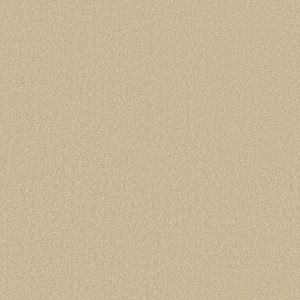 Shaw Floors Retail MAGIC AT LAST IV 15' - 00200 BUTTERNUT