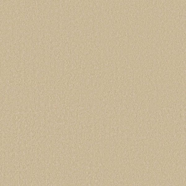 Shaw Floors Retail MAGIC AT LAST IV 15' - 00200 BUTTERNUT