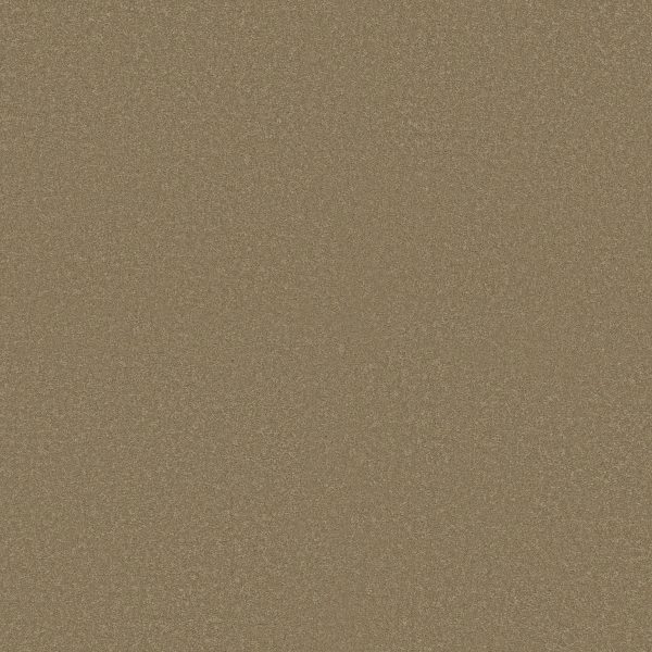 Shaw Floors Retail MAGIC AT LAST IV 15' - 00205 CARDBOARD