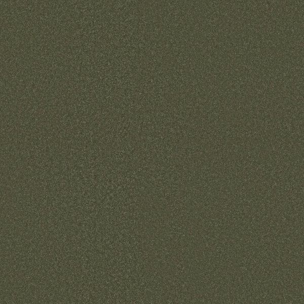 Shaw Floors Retail MAGIC AT LAST IV 15' - 00305 GARDEN SPOT